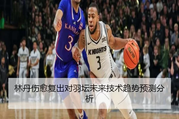 林丹伤愈复出对羽坛未来技术趋势预测分析